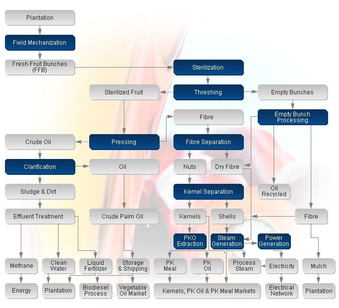 Línea de producción de plantas de molienda de aceite de palma flow chart