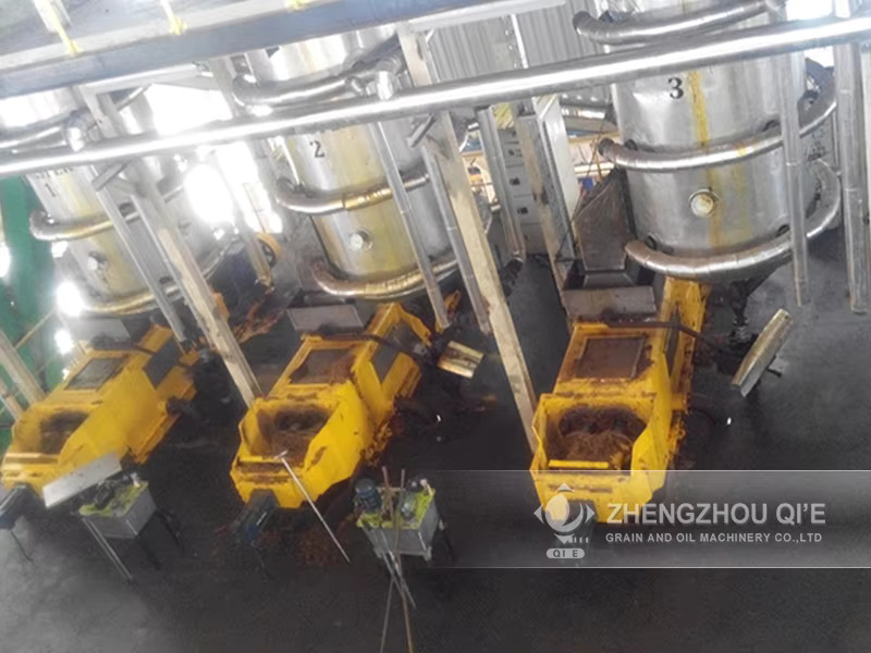 Puesta en marcha de una planta procesadora comercial de aceite de palma