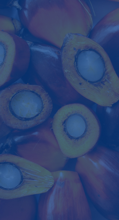 ACEITE DE PALMA PARA MATERIA PRIMA