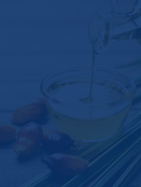 Línea de producción de aceite de palma