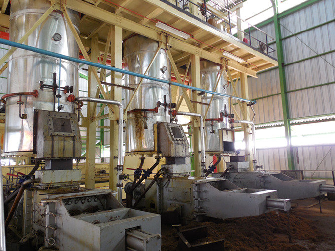 Planta moderna de producción de aceite de palma: automatización total y bajo costo