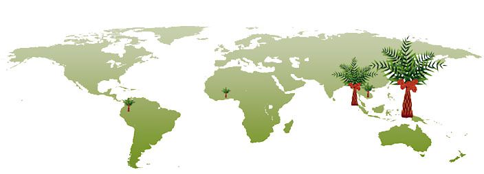 Molino refinador internacional de aceite de palma