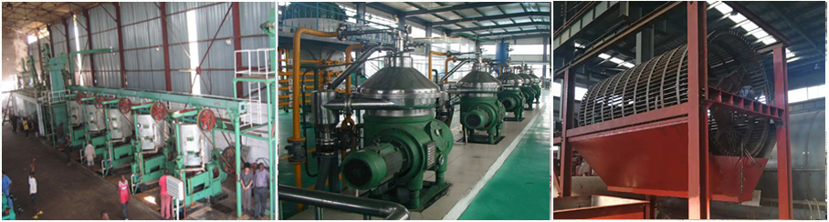 equipos de molino de aceite de palma