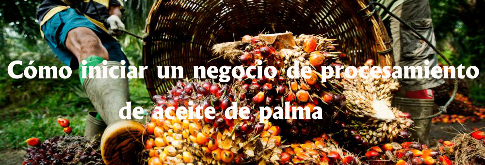 palm oil industry